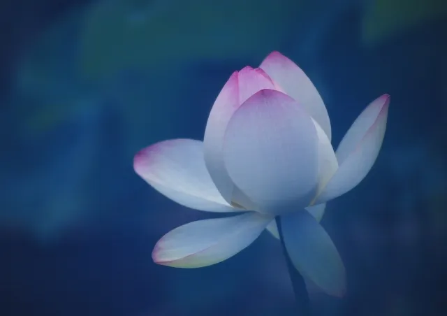 【品質管理技術者】アルミダイカスト(言語不問/契約社員)