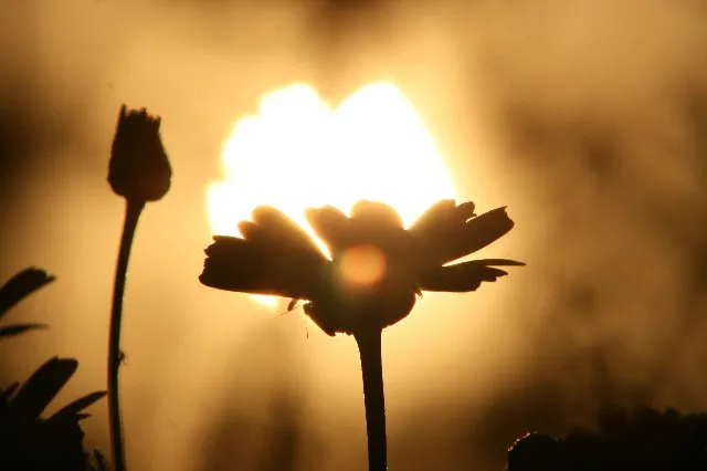 【人材紹介サポート】人材紹介(シフト制/週休2日制/言語不問/年間休日119日)