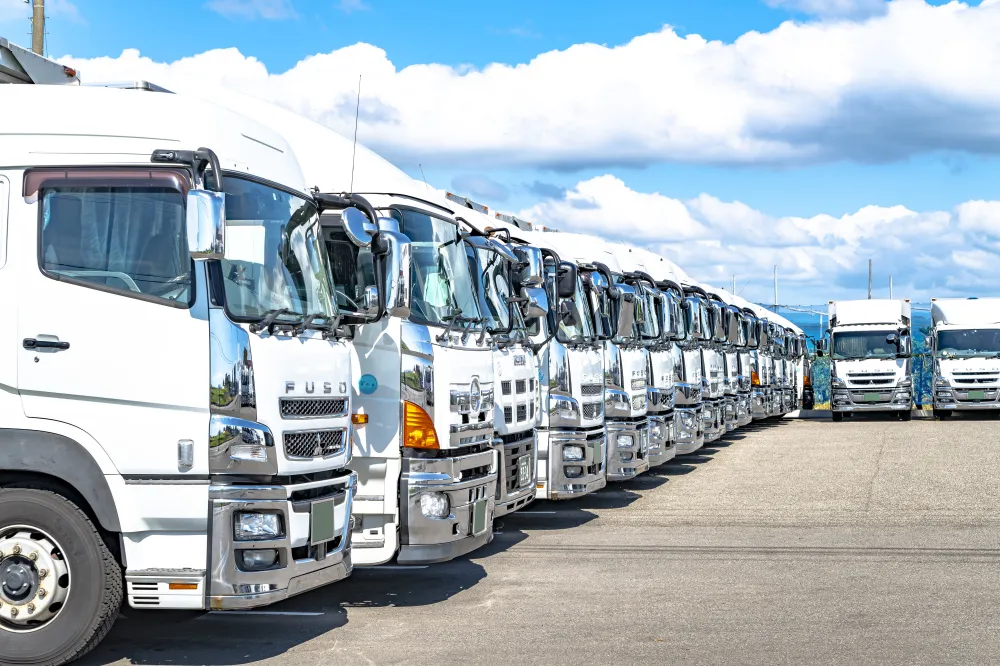 【現地副代表】食品小売業者(タイでの勤務経験/言語不問)